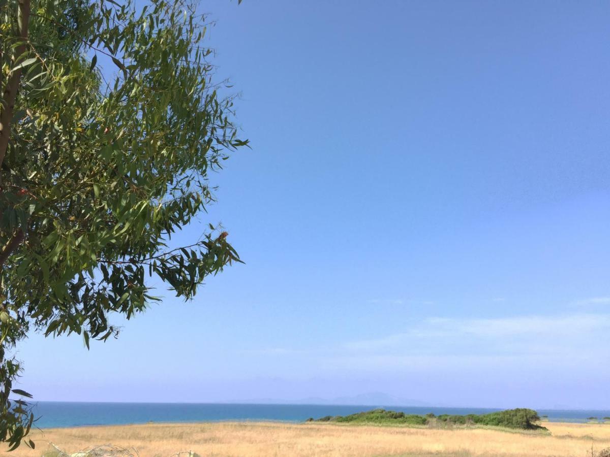Kipriotis Hotel 阿尔库季岛 外观 照片